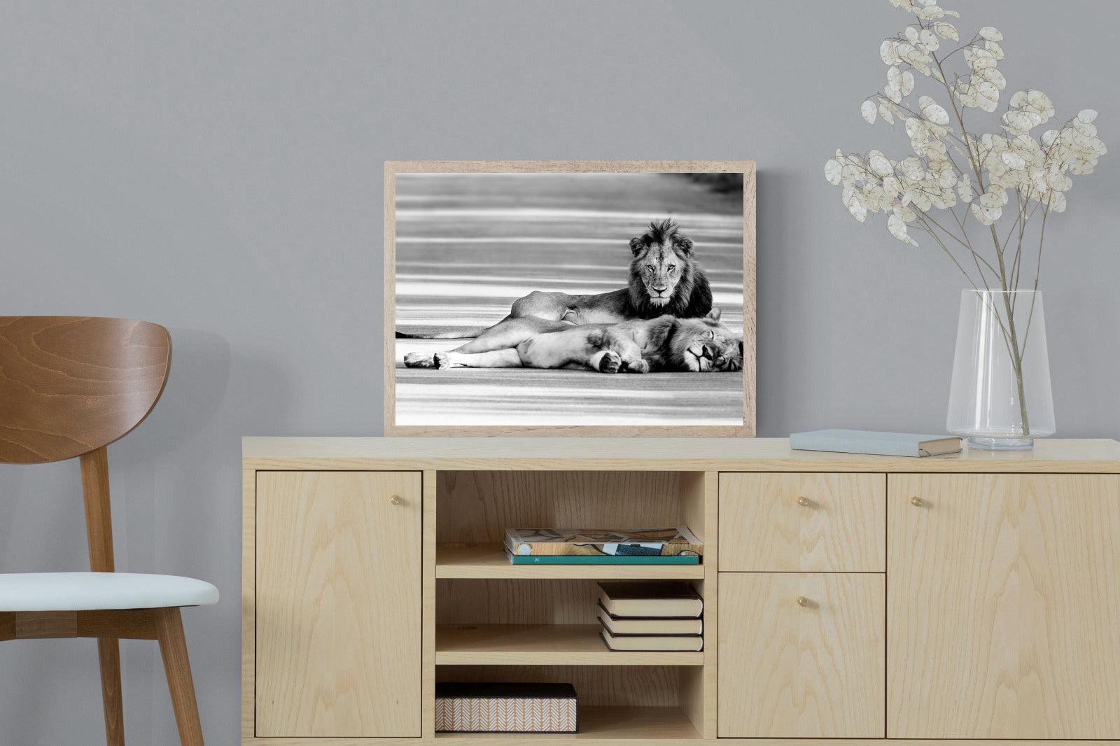 Laying Lion-Wall_Art-60 x 45cm-Mounted Canvas-Wood-Pixalot