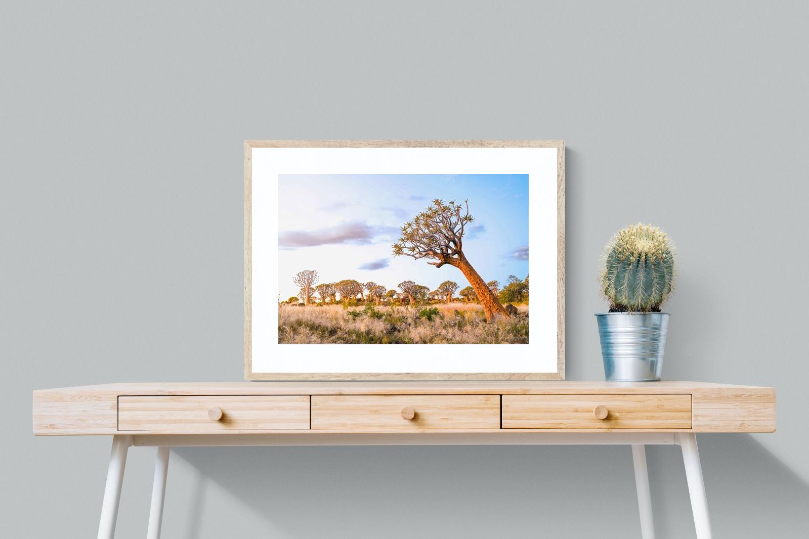 Leaning Baobab-Wall_Art-80 x 60cm-Framed Print-Wood-Pixalot