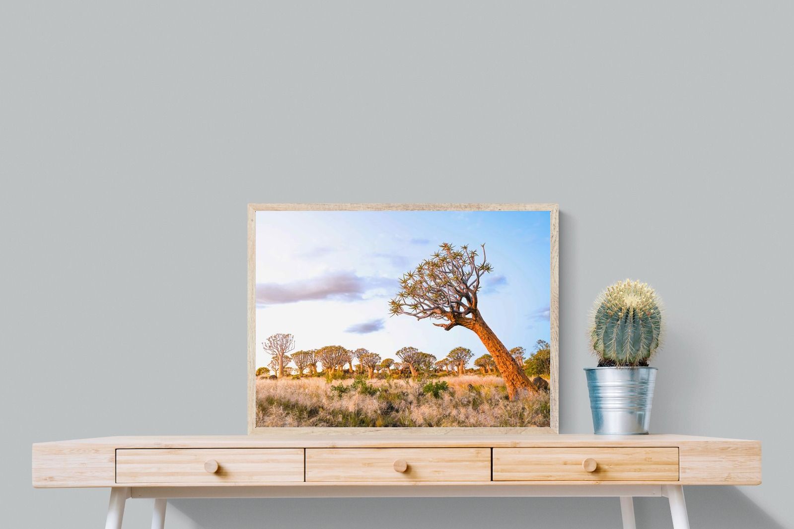 Leaning Baobab-Wall_Art-80 x 60cm-Mounted Canvas-Wood-Pixalot