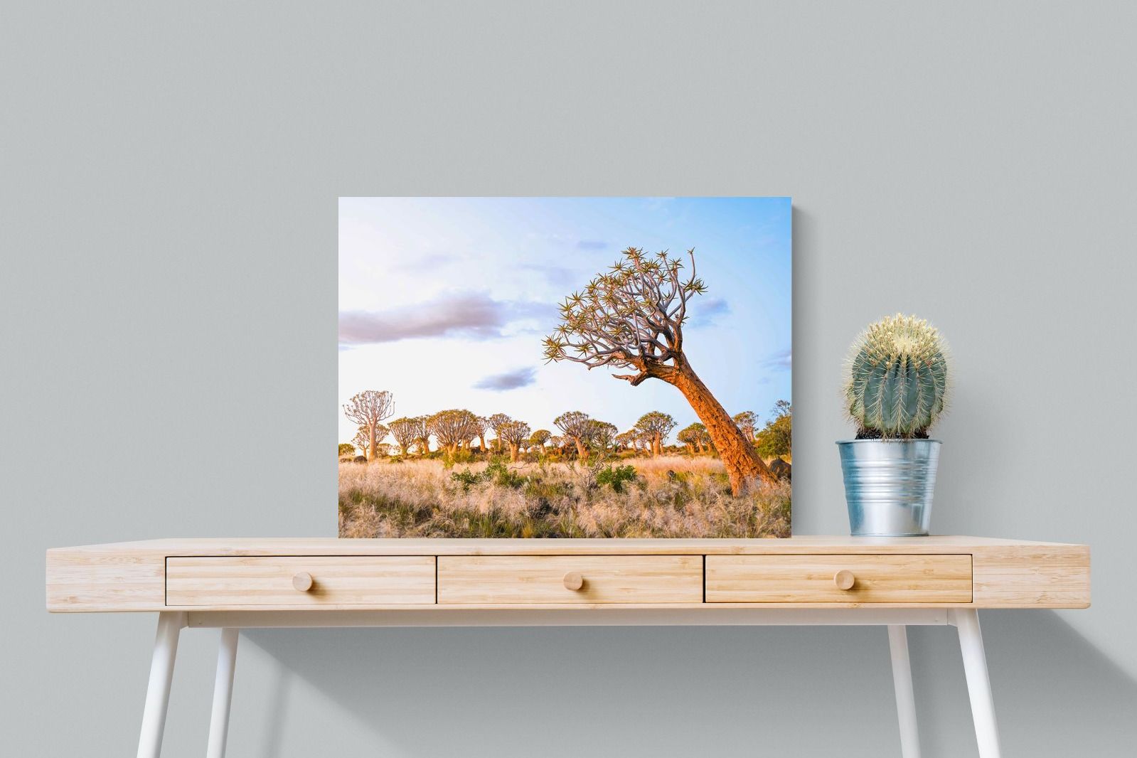 Leaning Baobab-Wall_Art-80 x 60cm-Mounted Canvas-No Frame-Pixalot