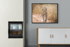Leopard-Wall_Art-100 x 75cm-Mounted Canvas-Black-Pixalot