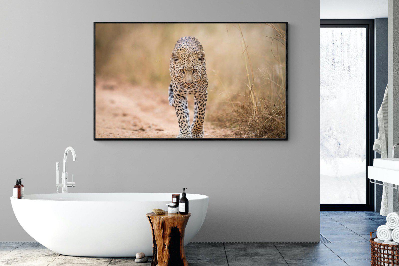 Leopard-Wall_Art-180 x 110cm-Mounted Canvas-Black-Pixalot