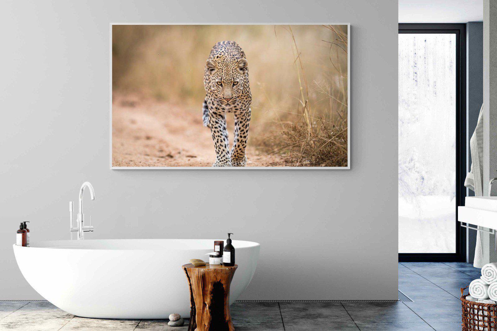 Leopard-Wall_Art-180 x 110cm-Mounted Canvas-White-Pixalot