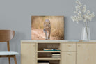 Leopard-Wall_Art-60 x 45cm-Mounted Canvas-No Frame-Pixalot
