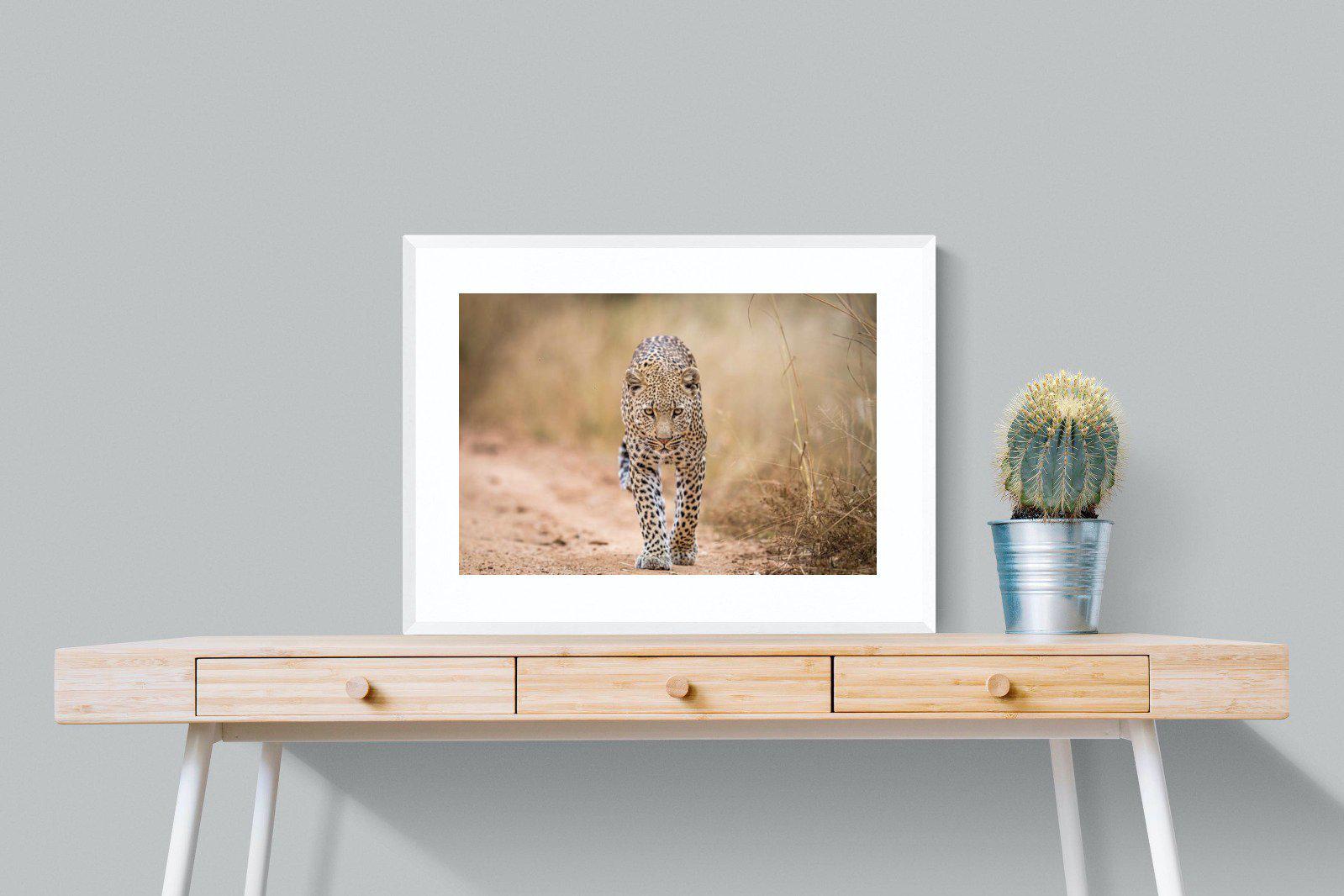 Leopard-Wall_Art-80 x 60cm-Framed Print-White-Pixalot