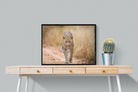 Leopard-Wall_Art-80 x 60cm-Mounted Canvas-Black-Pixalot