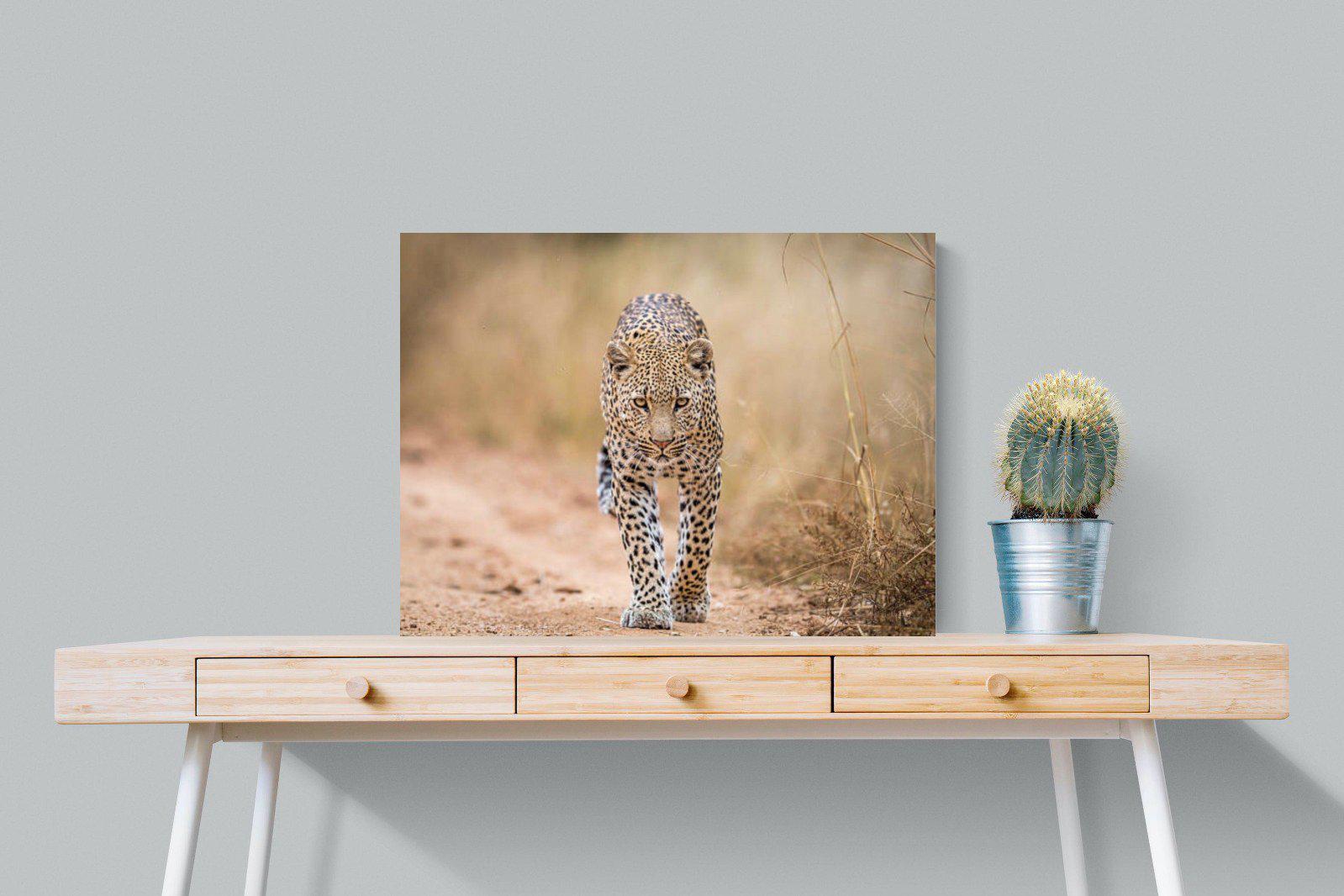 Leopard-Wall_Art-80 x 60cm-Mounted Canvas-No Frame-Pixalot