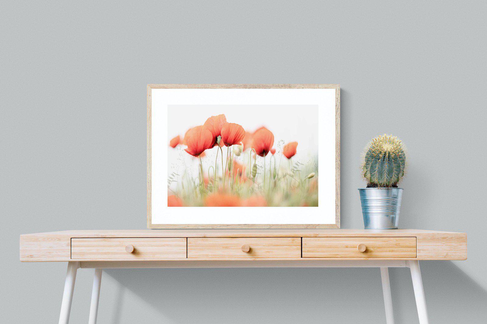Light Poppies-Wall_Art-80 x 60cm-Framed Print-Wood-Pixalot