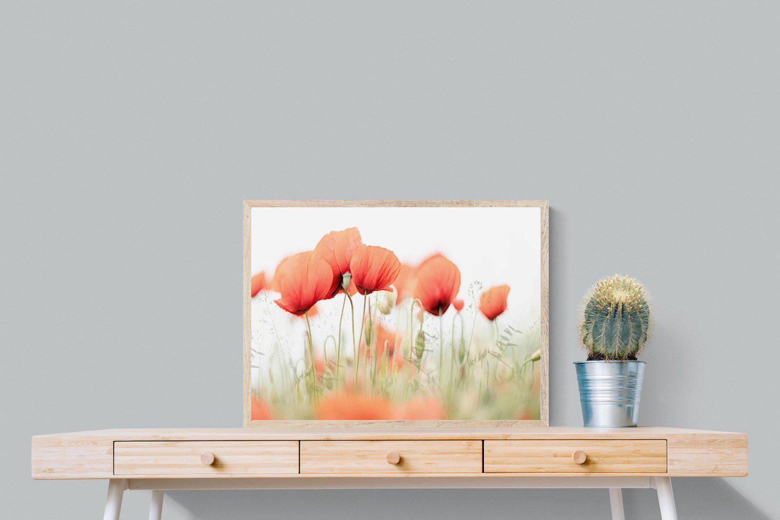 Light Poppies-Wall_Art-80 x 60cm-Mounted Canvas-Wood-Pixalot