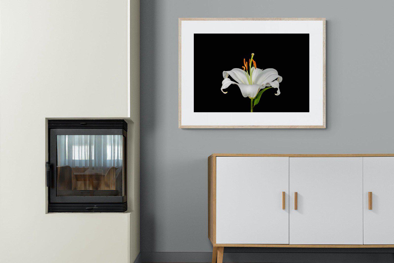 Lilium on Black-Wall_Art-100 x 75cm-Framed Print-Wood-Pixalot