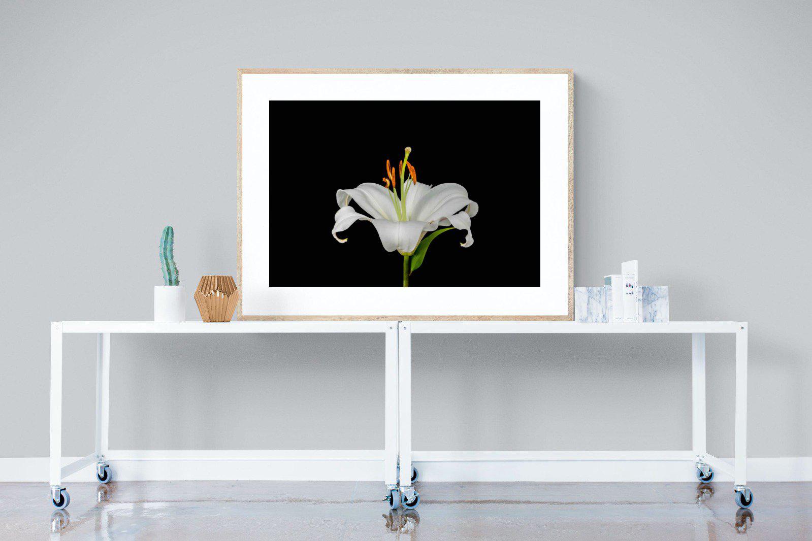 Lilium on Black-Wall_Art-120 x 90cm-Framed Print-Wood-Pixalot