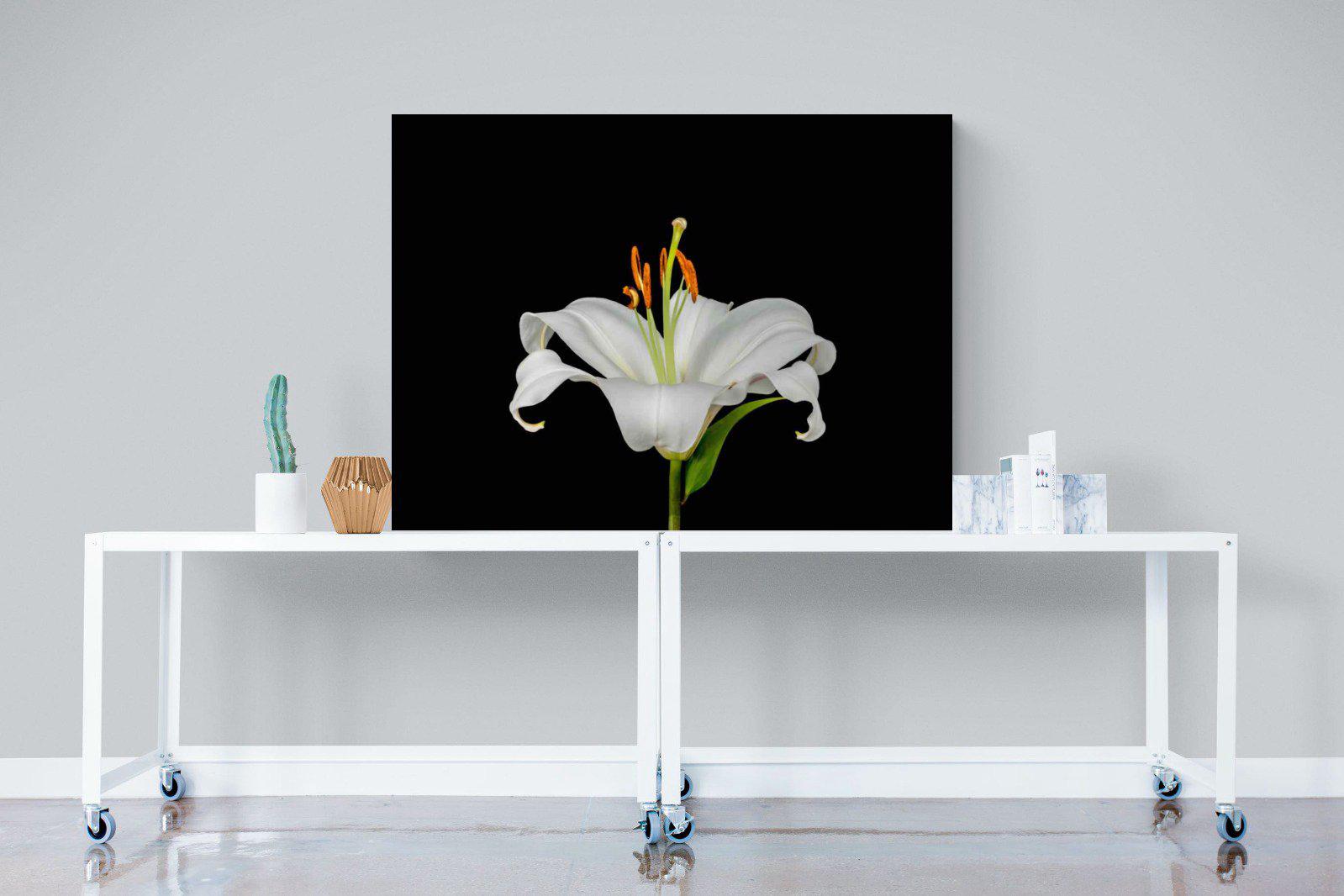 Lilium on Black-Wall_Art-120 x 90cm-Mounted Canvas-No Frame-Pixalot