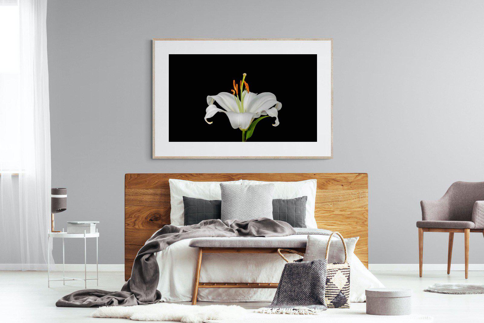 Lilium on Black-Wall_Art-150 x 100cm-Framed Print-Wood-Pixalot