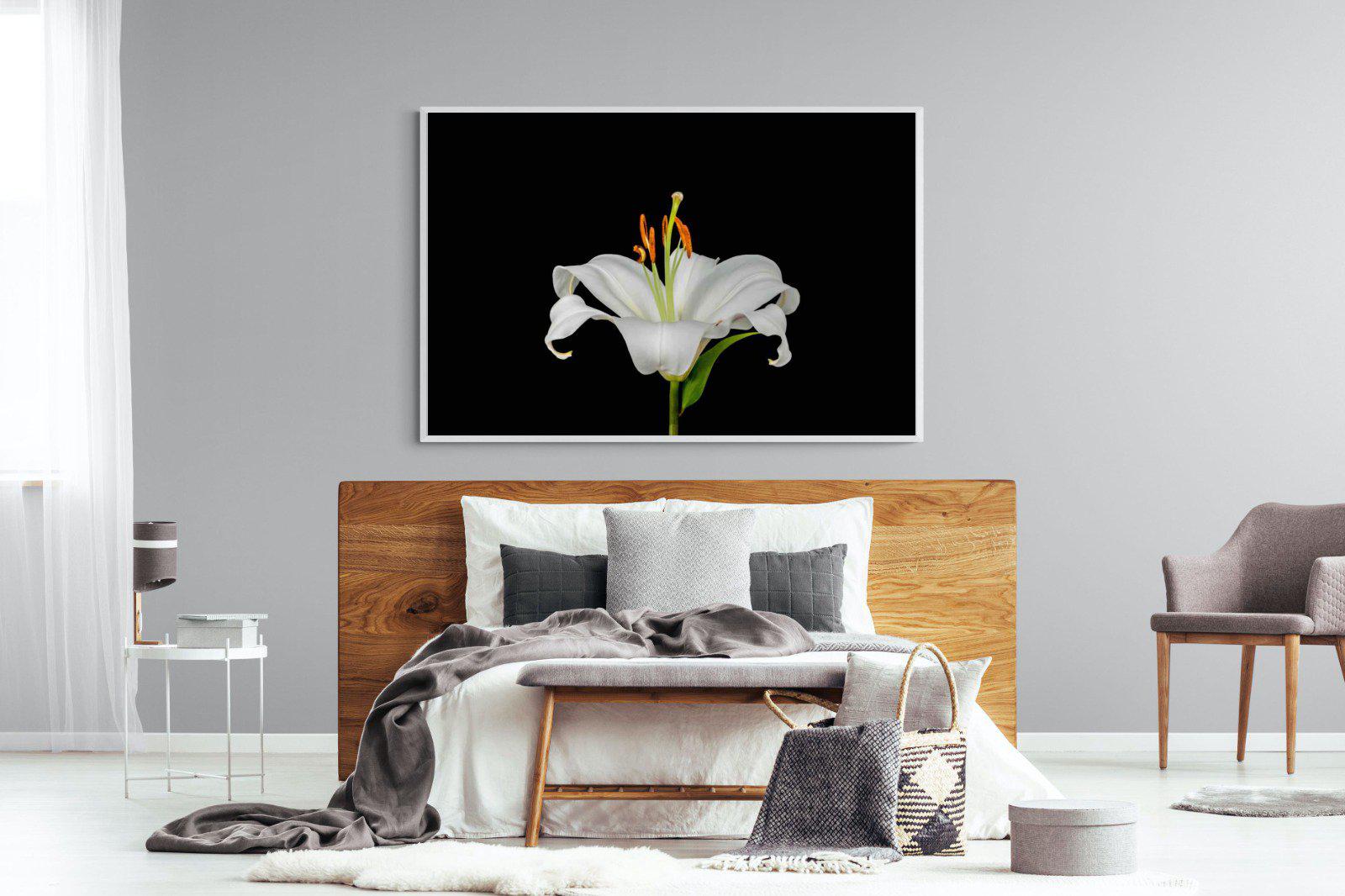 Lilium on Black-Wall_Art-150 x 100cm-Mounted Canvas-White-Pixalot