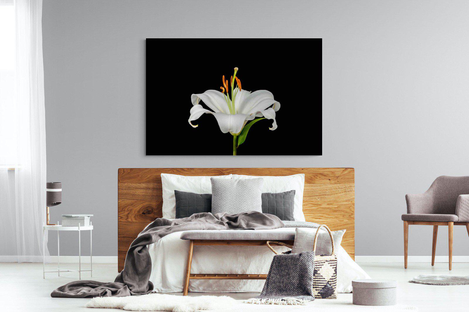 Lilium on Black-Wall_Art-150 x 100cm-Mounted Canvas-No Frame-Pixalot