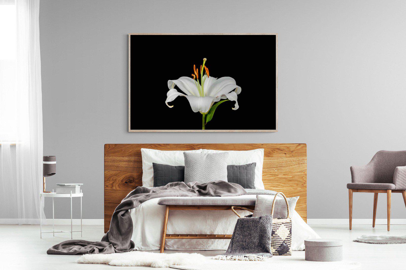 Lilium on Black-Wall_Art-150 x 100cm-Mounted Canvas-Wood-Pixalot