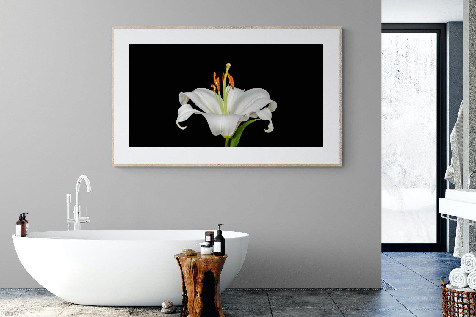 Lilium on Black-Wall_Art-180 x 110cm-Framed Print-Wood-Pixalot