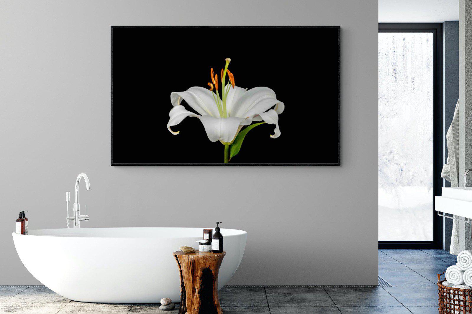Lilium on Black-Wall_Art-180 x 110cm-Mounted Canvas-Black-Pixalot