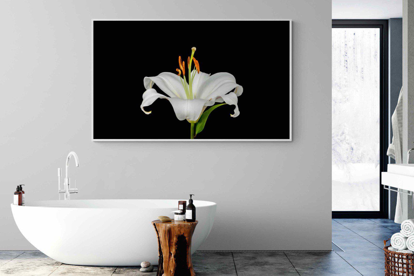 Lilium on Black-Wall_Art-180 x 110cm-Mounted Canvas-White-Pixalot