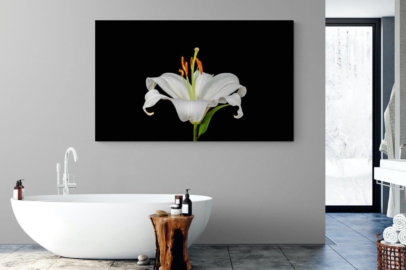 Lilium on Black-Wall_Art-180 x 110cm-Mounted Canvas-No Frame-Pixalot