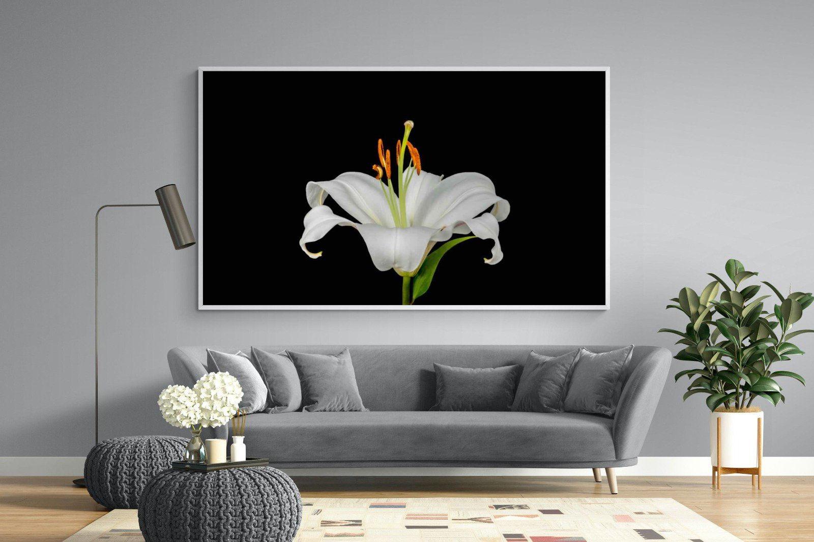 Lilium on Black-Wall_Art-220 x 130cm-Mounted Canvas-White-Pixalot