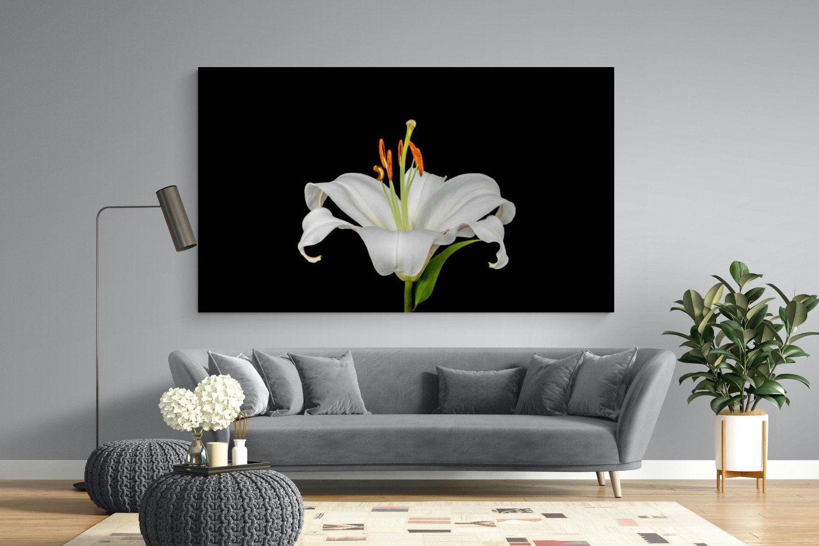Lilium on Black-Wall_Art-220 x 130cm-Mounted Canvas-No Frame-Pixalot
