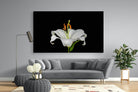 Lilium on Black-Wall_Art-220 x 130cm-Mounted Canvas-No Frame-Pixalot