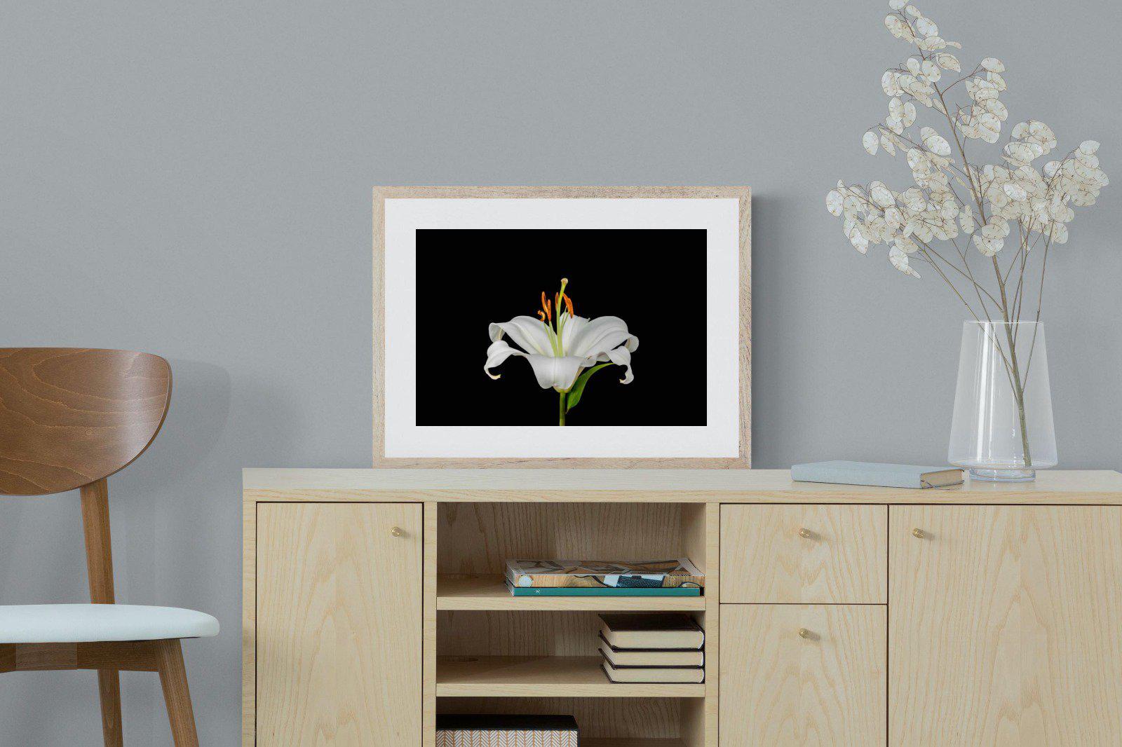 Lilium on Black-Wall_Art-60 x 45cm-Framed Print-Wood-Pixalot