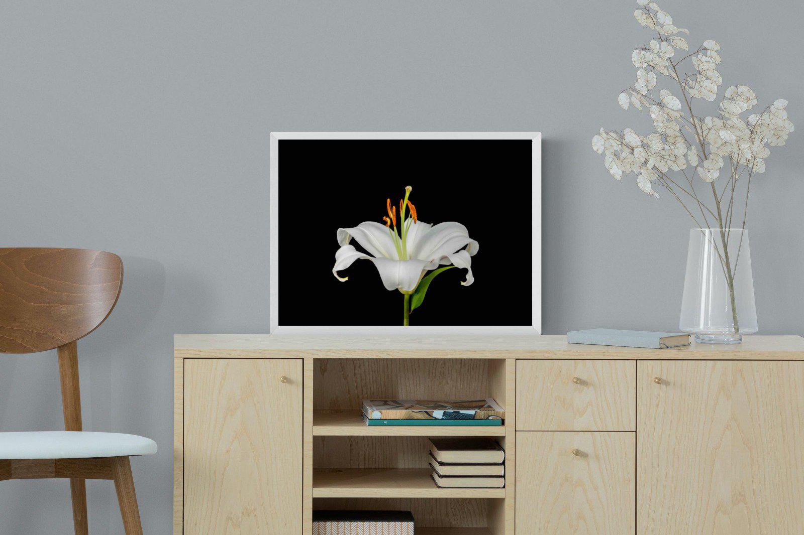 Lilium on Black-Wall_Art-60 x 45cm-Mounted Canvas-White-Pixalot