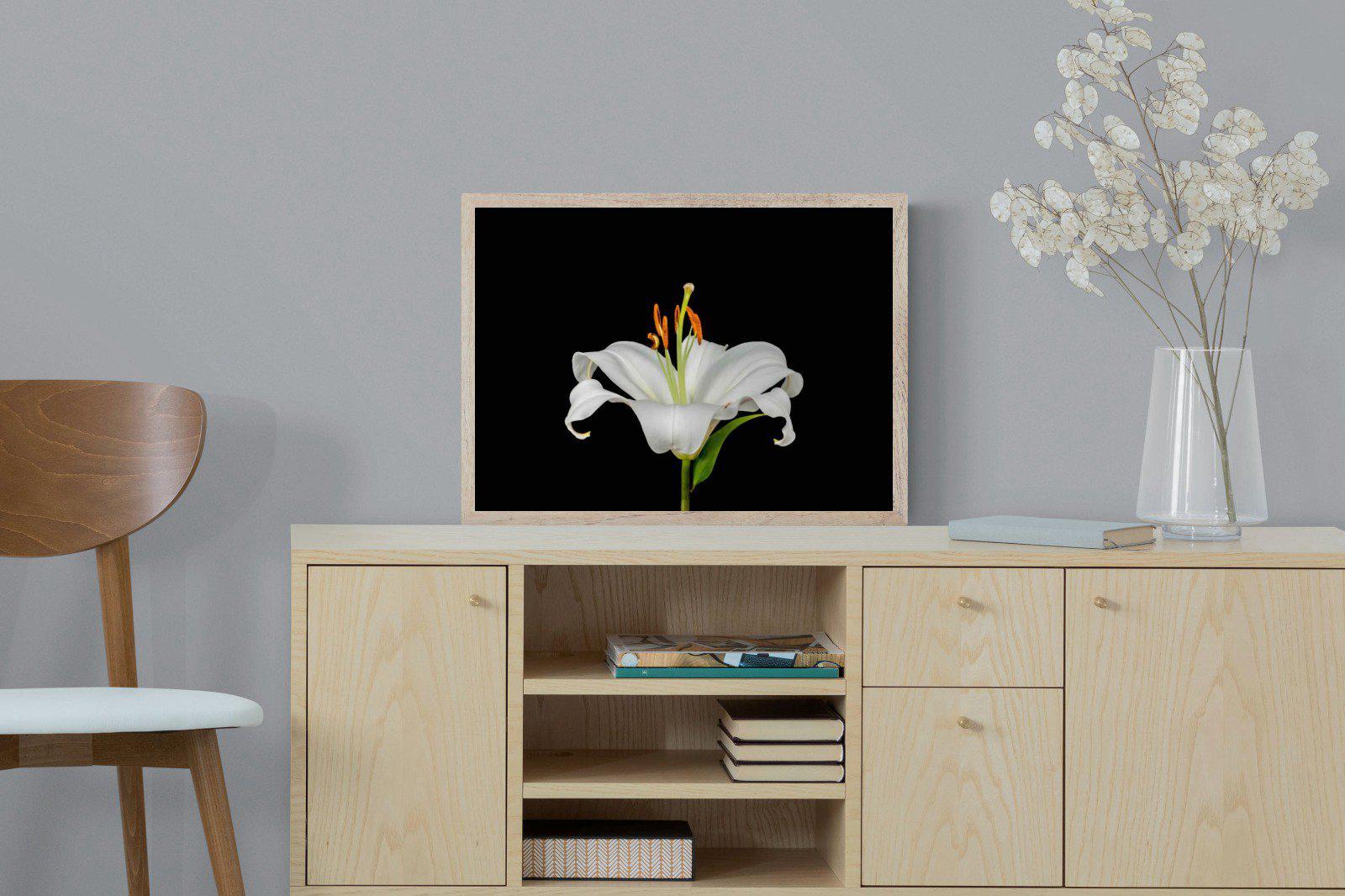 Lilium on Black-Wall_Art-60 x 45cm-Mounted Canvas-Wood-Pixalot