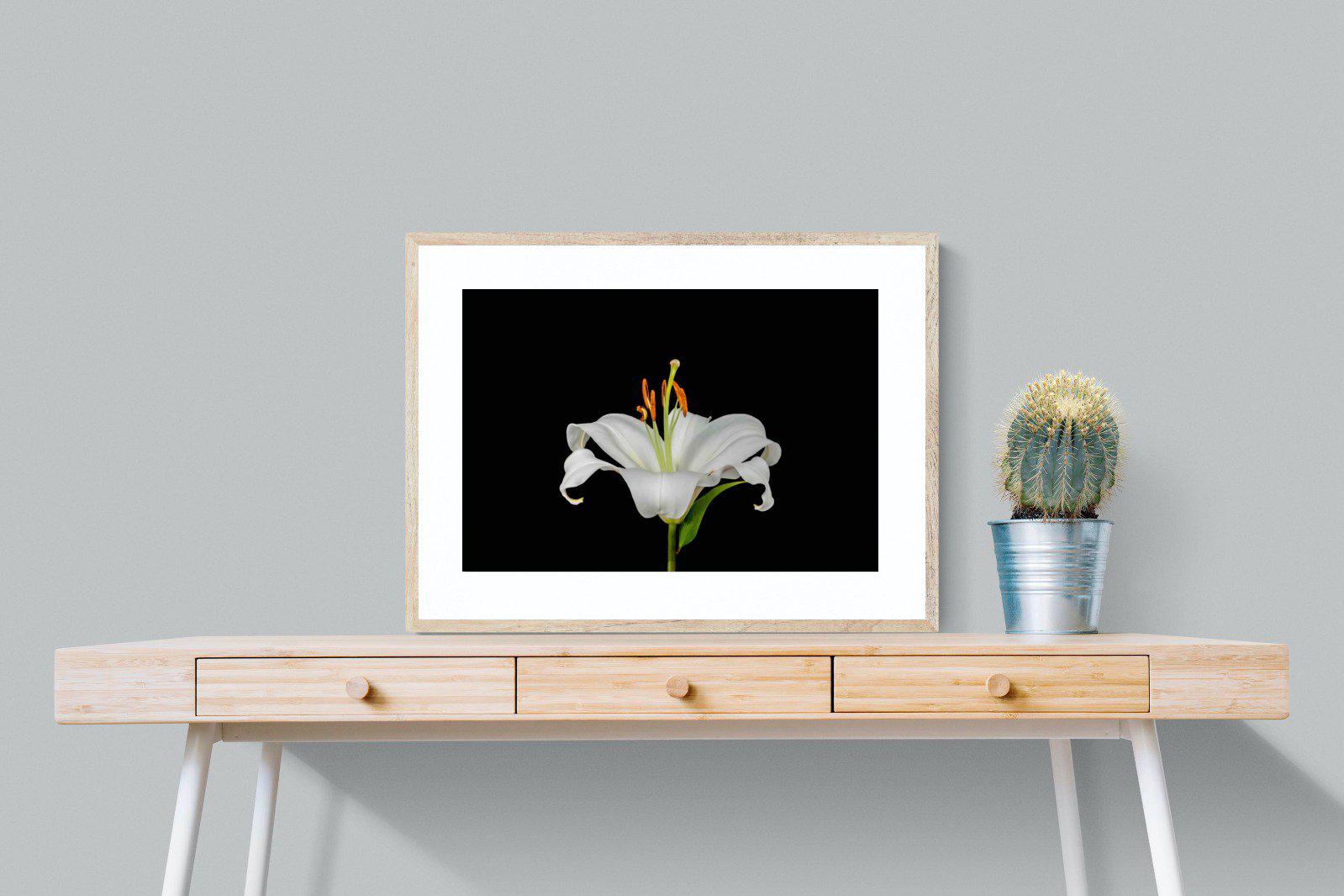Lilium on Black-Wall_Art-80 x 60cm-Framed Print-Wood-Pixalot