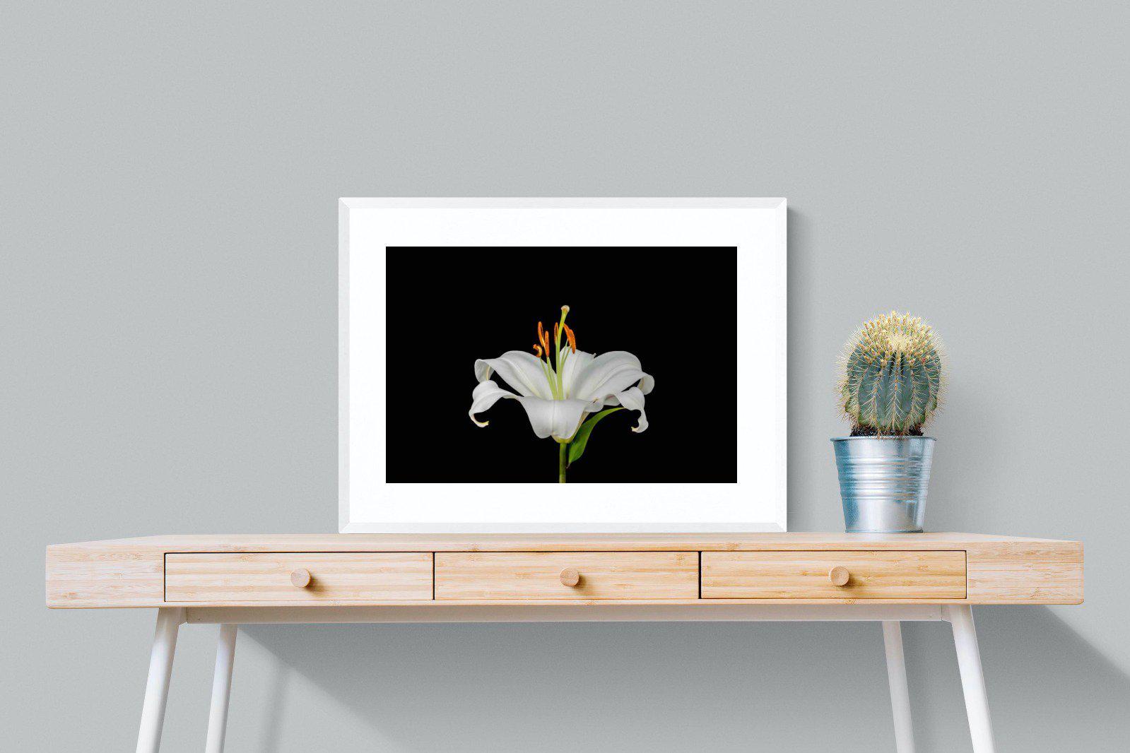 Lilium on Black-Wall_Art-80 x 60cm-Framed Print-White-Pixalot