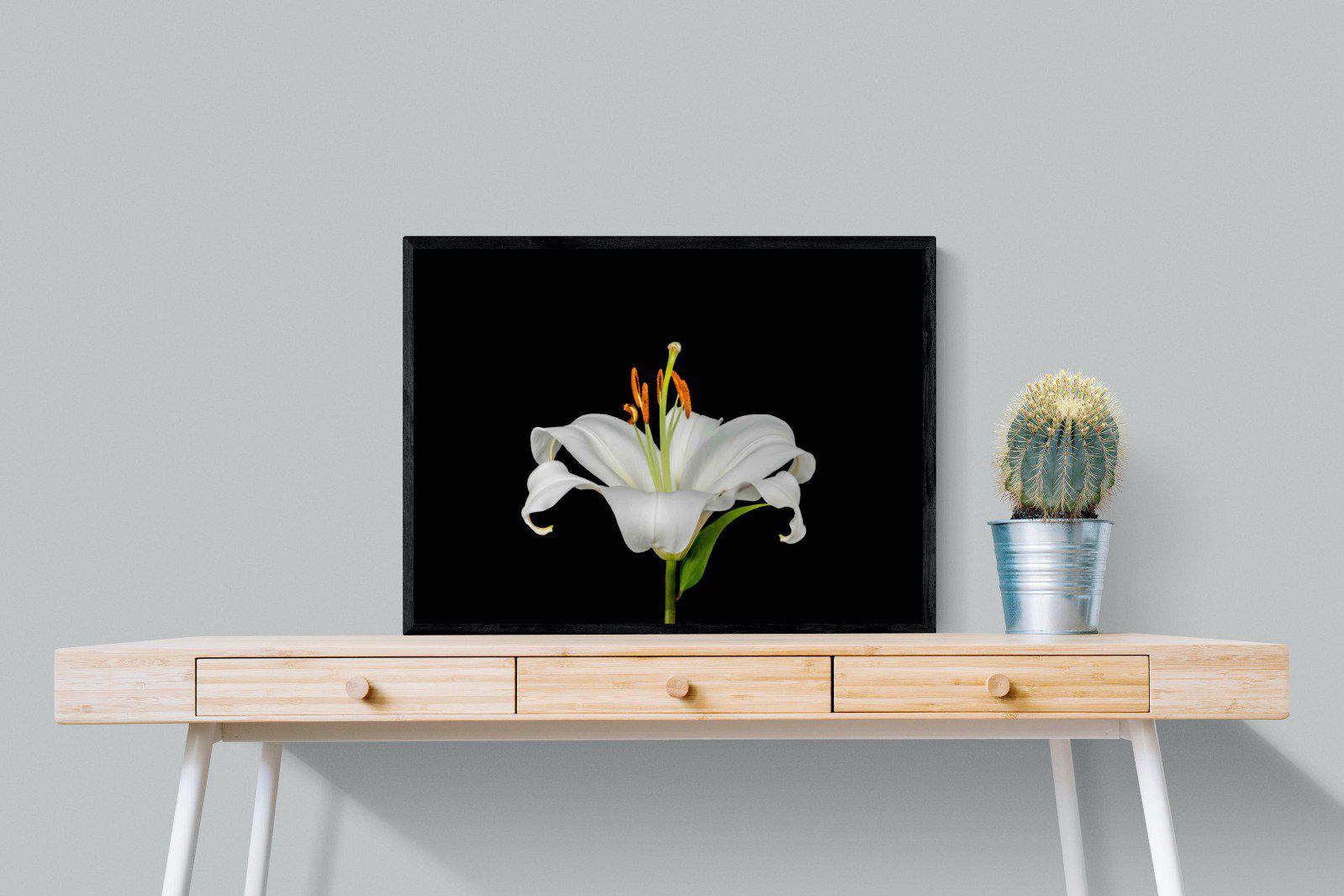 Lilium on Black-Wall_Art-80 x 60cm-Mounted Canvas-Black-Pixalot