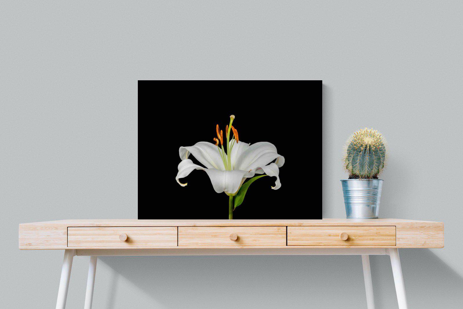 Lilium on Black-Wall_Art-80 x 60cm-Mounted Canvas-No Frame-Pixalot