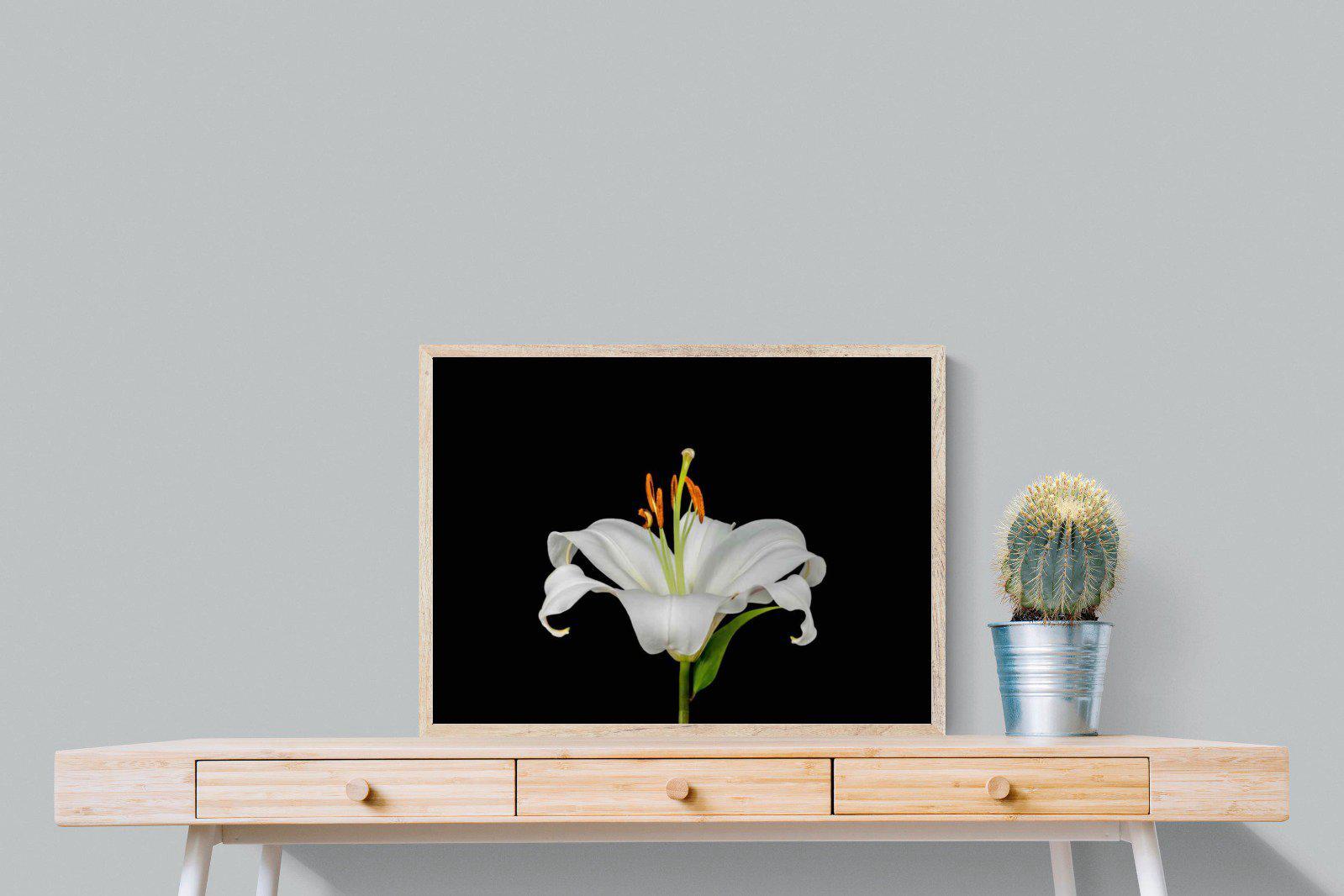 Lilium on Black-Wall_Art-80 x 60cm-Mounted Canvas-Wood-Pixalot