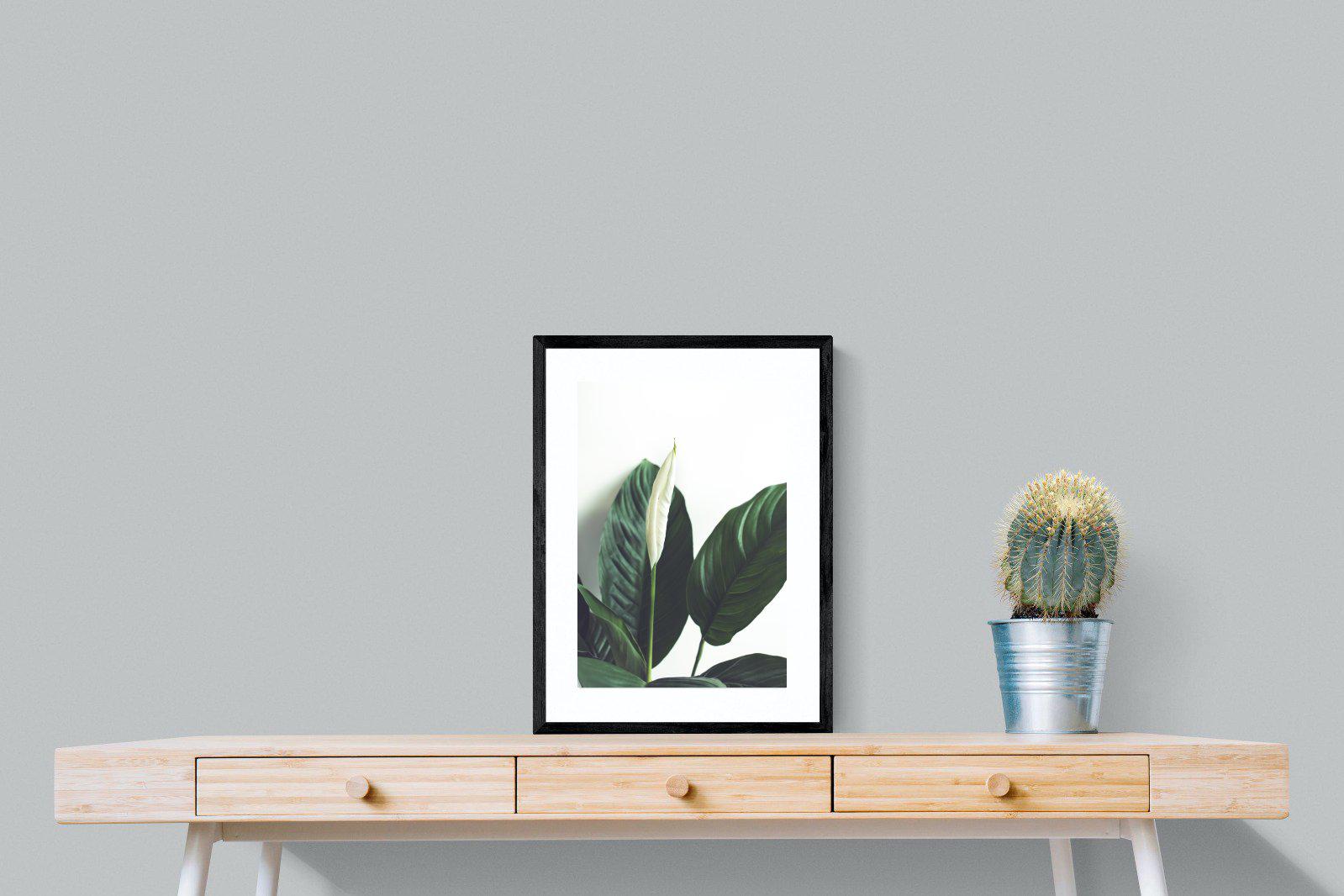 Lily Leaves-Wall_Art-45 x 60cm-Framed Print-Black-Pixalot