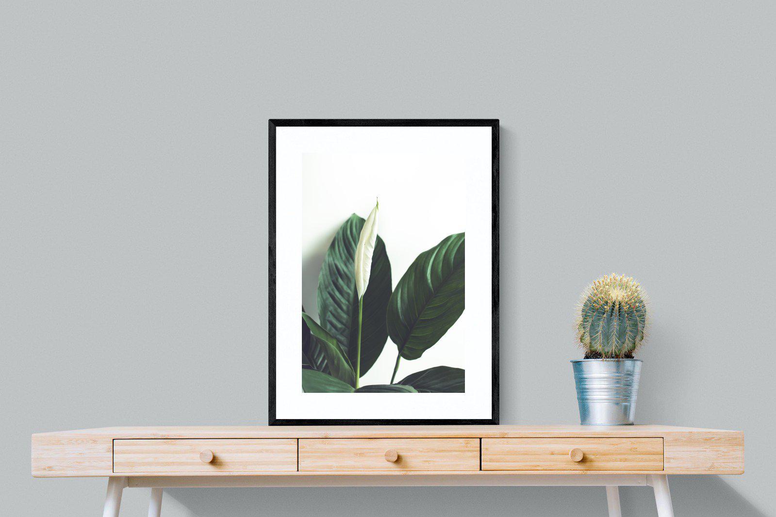 Lily Leaves-Wall_Art-60 x 80cm-Framed Print-Black-Pixalot