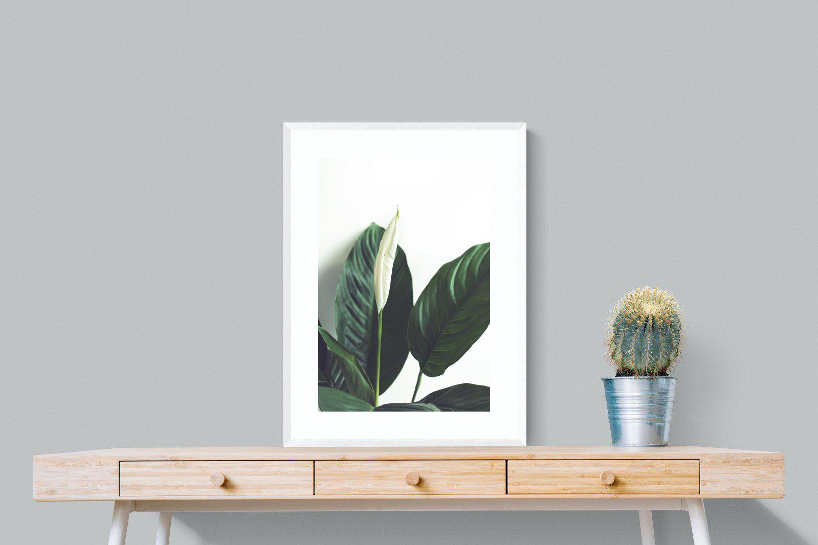 Lily Leaves-Wall_Art-60 x 80cm-Framed Print-White-Pixalot