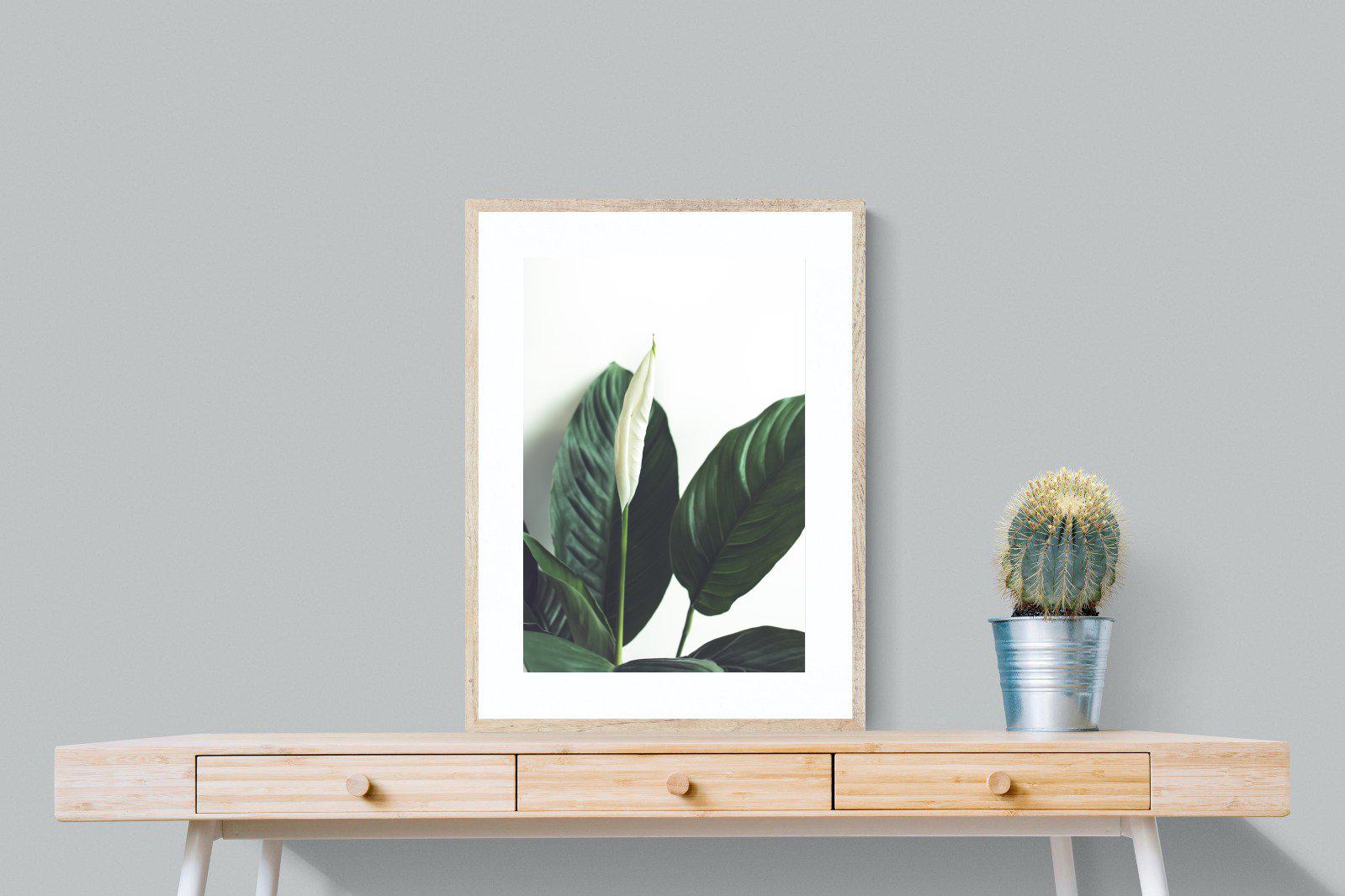Lily Leaves-Wall_Art-60 x 80cm-Framed Print-Wood-Pixalot