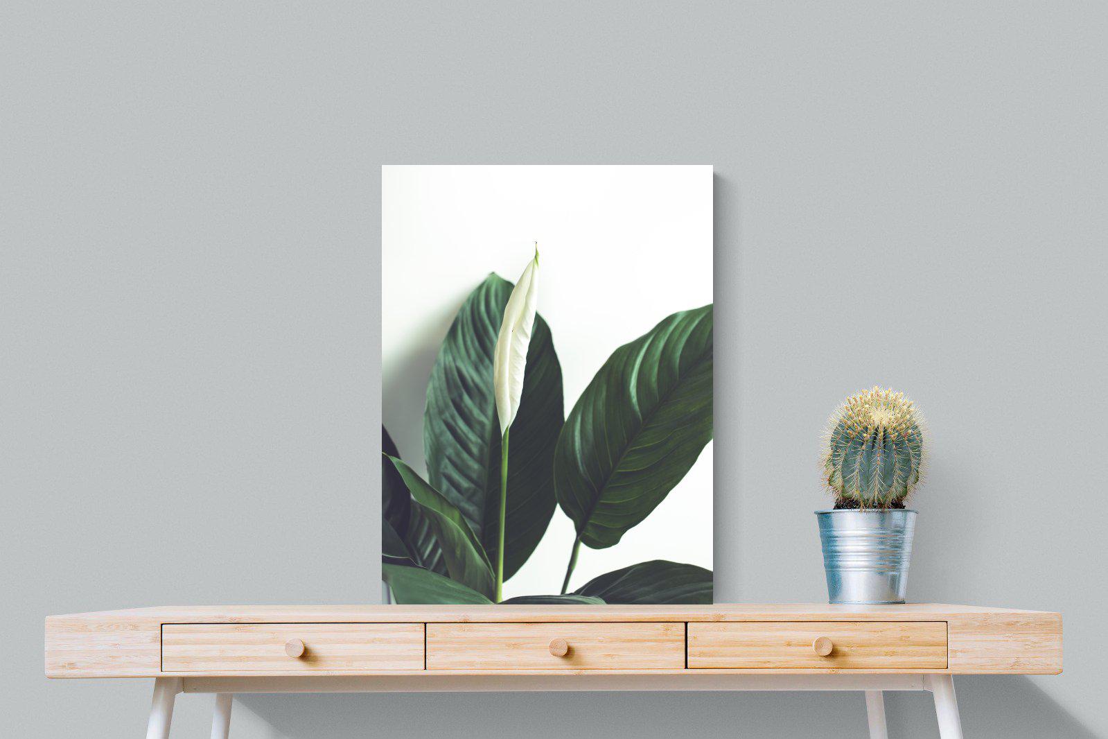 Lily Leaves-Wall_Art-60 x 80cm-Mounted Canvas-No Frame-Pixalot