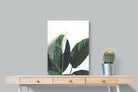 Lily Leaves-Wall_Art-60 x 80cm-Mounted Canvas-No Frame-Pixalot
