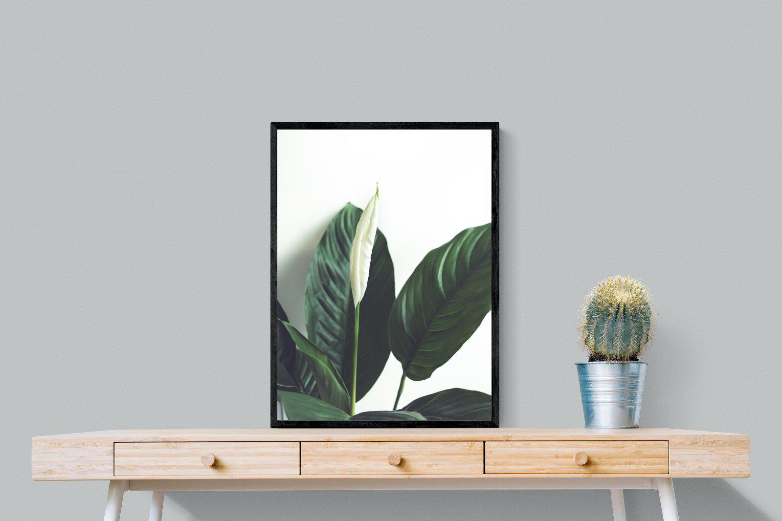 Lily Leaves-Wall_Art-60 x 80cm-Mounted Canvas-Black-Pixalot