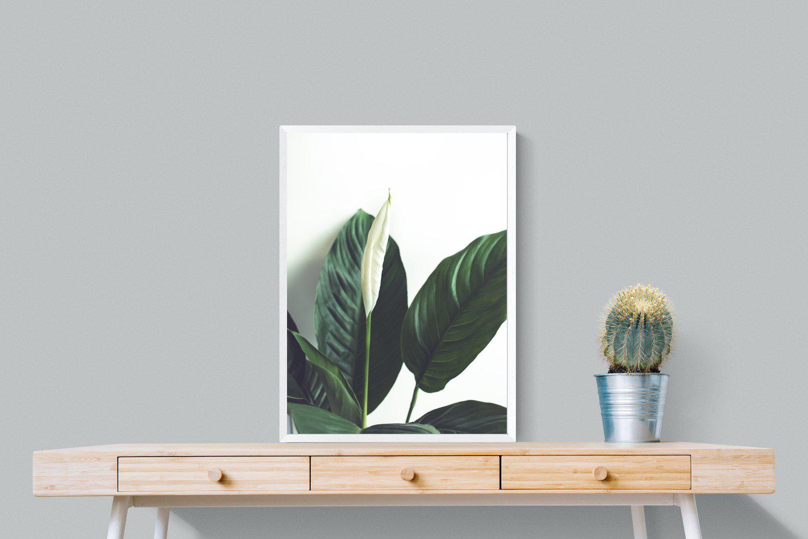 Lily Leaves-Wall_Art-60 x 80cm-Mounted Canvas-White-Pixalot