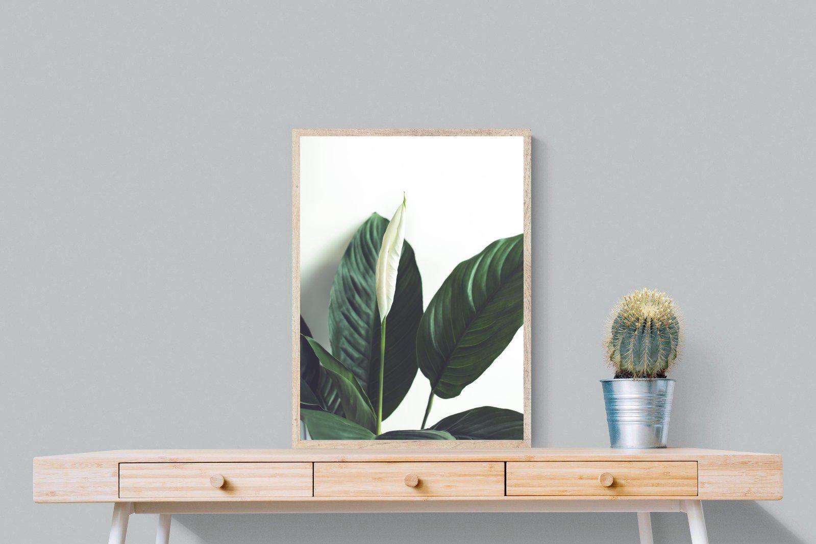 Lily Leaves-Wall_Art-60 x 80cm-Mounted Canvas-Wood-Pixalot