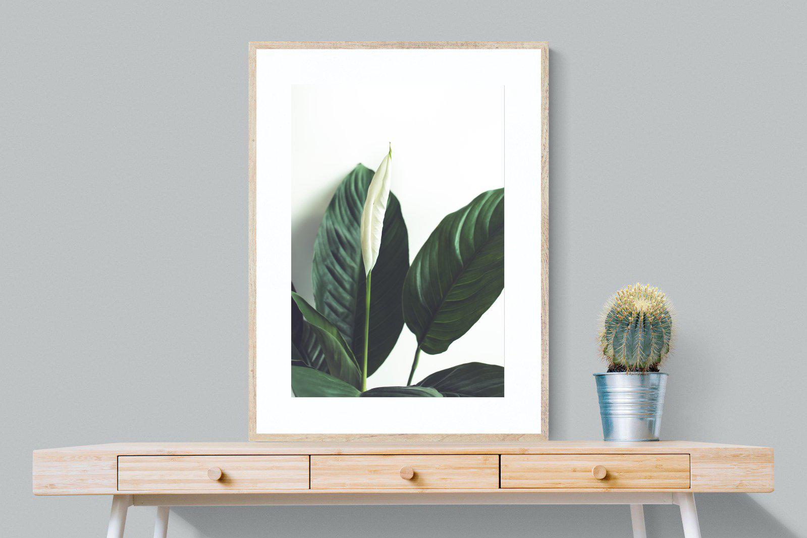 Lily Leaves-Wall_Art-75 x 100cm-Framed Print-Wood-Pixalot