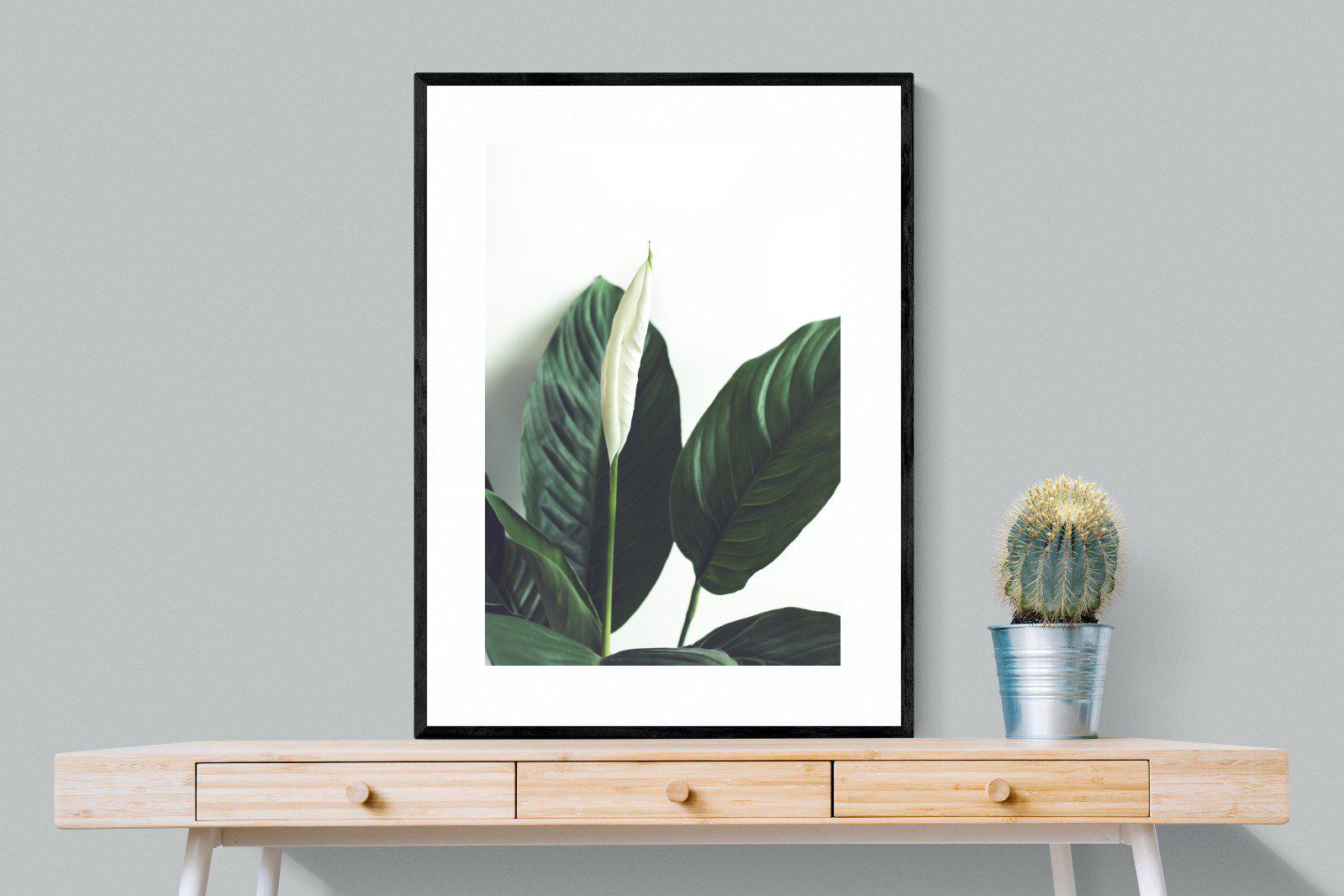 Lily Leaves-Wall_Art-75 x 100cm-Framed Print-Black-Pixalot