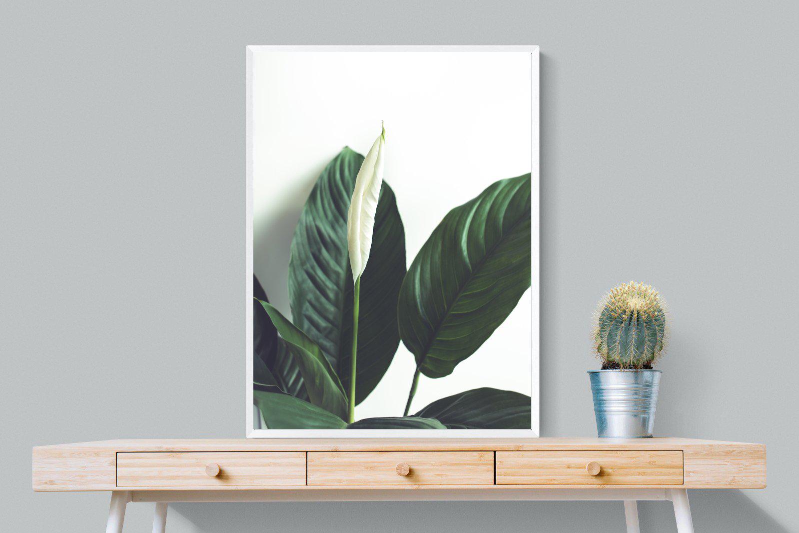 Lily Leaves-Wall_Art-75 x 100cm-Mounted Canvas-White-Pixalot