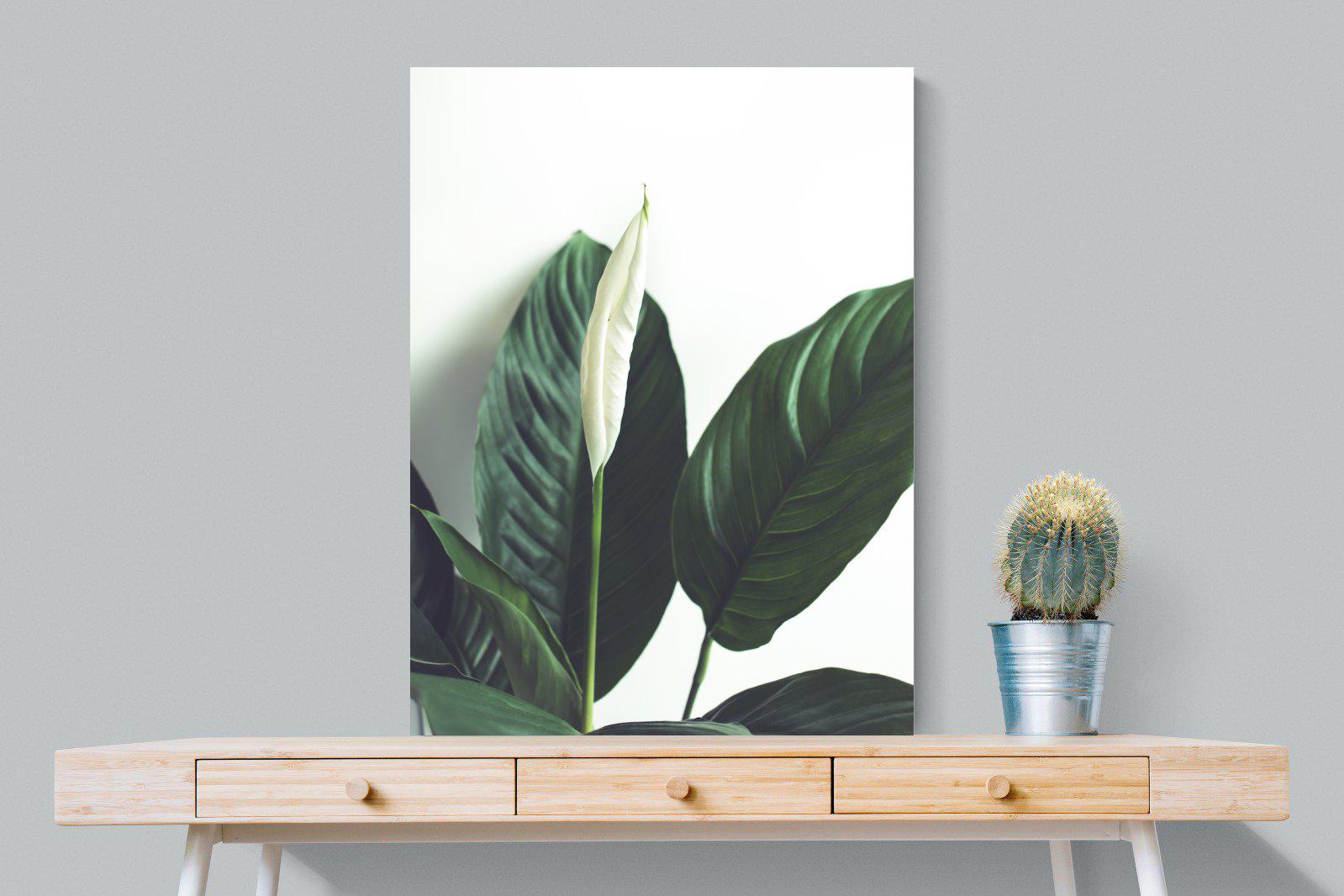 Lily Leaves-Wall_Art-75 x 100cm-Mounted Canvas-No Frame-Pixalot