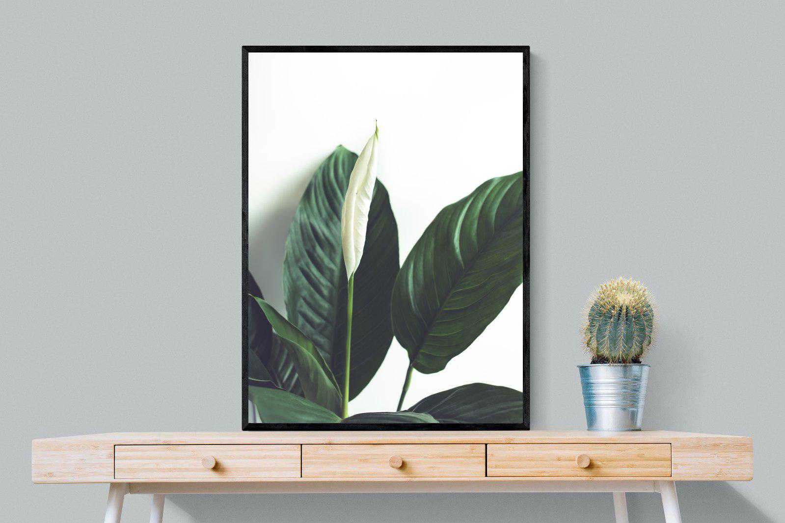 Lily Leaves-Wall_Art-75 x 100cm-Mounted Canvas-Black-Pixalot