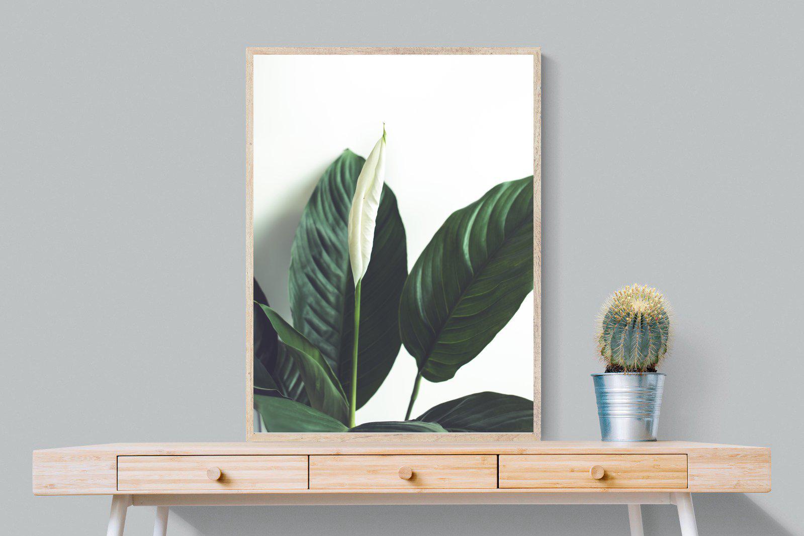 Lily Leaves-Wall_Art-75 x 100cm-Mounted Canvas-Wood-Pixalot